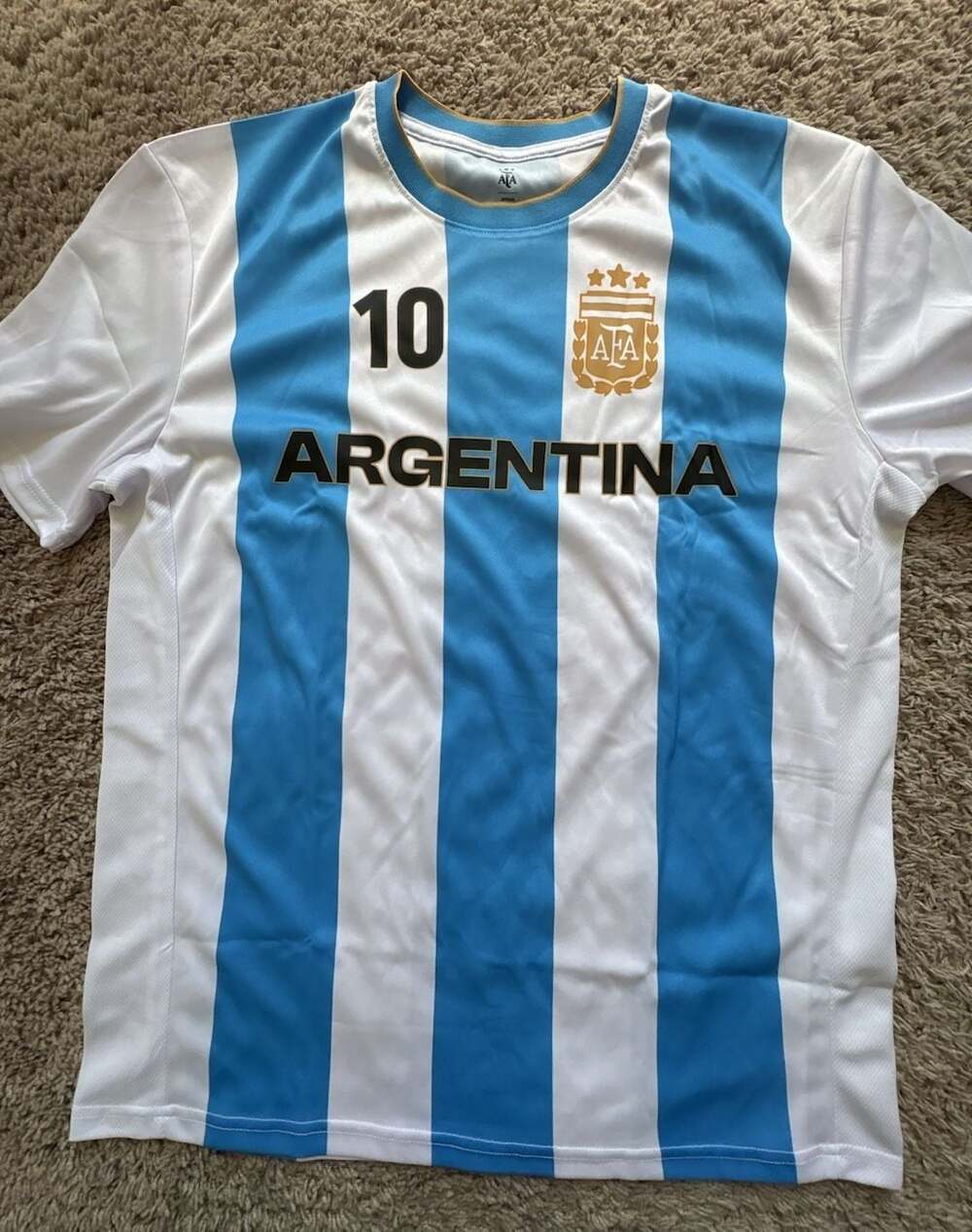 AFA Official Licensed Argentina Lionel Messi #10 Striped Soccer Jersey